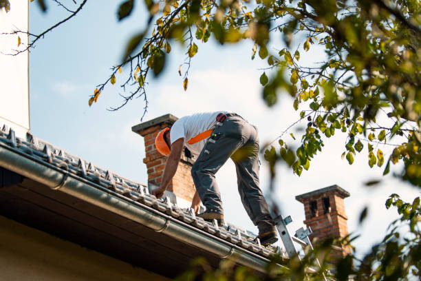 Best Chimney Flashing Repair  in Blauvelt, NY