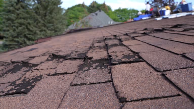 Roof Coating Services in Blauvelt, NY