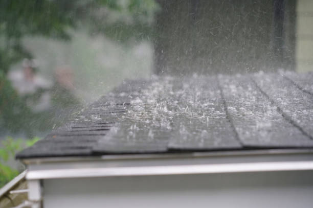 Best Roof Coating and Sealing  in Blauvelt, NY