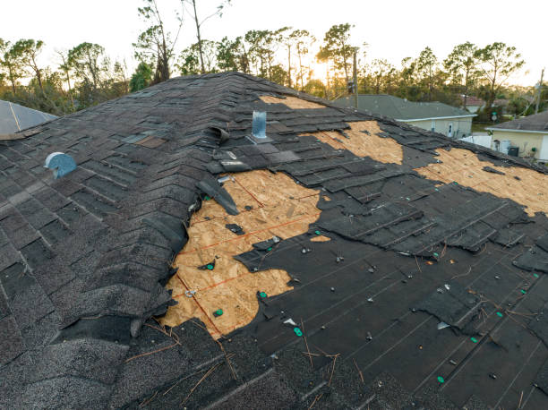 Best Asphalt Shingle Roofing  in Blauvelt, NY