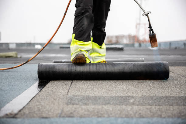 Best Roof Moss and Algae Removal  in Blauvelt, NY